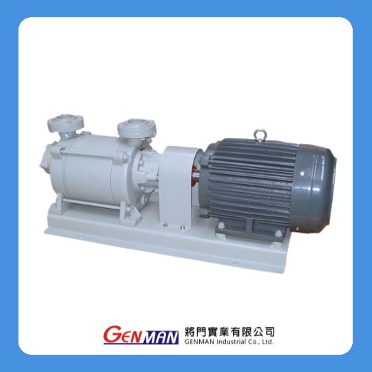 Liquid Ring Vacuum Pumps-GW-10 