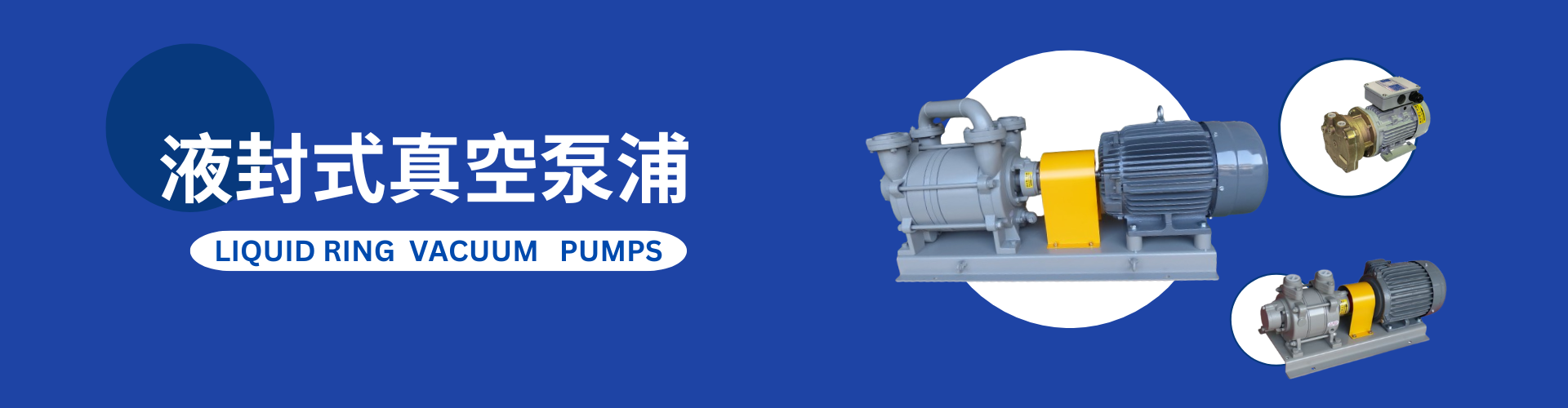 Liquid ring vacuum pumps